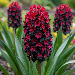 Гиацинт Джем Стоун купить по цене от 2099р. в интернет-магазине «Посадика» с доставкой почтой в в Моршанске и по всей России – [изображение №1].