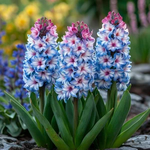 Гиацинт Пинк Мари купить по цене от 2099р. в интернет-магазине «Посадика» с доставкой почтой в в Моршанске и по всей России – [изображение №1].