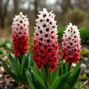 Гиацинт Скай Гарден купить по цене от 2099р. в интернет-магазине «Посадика» с доставкой почтой в в Моршанске и по всей России – [изображение №1].